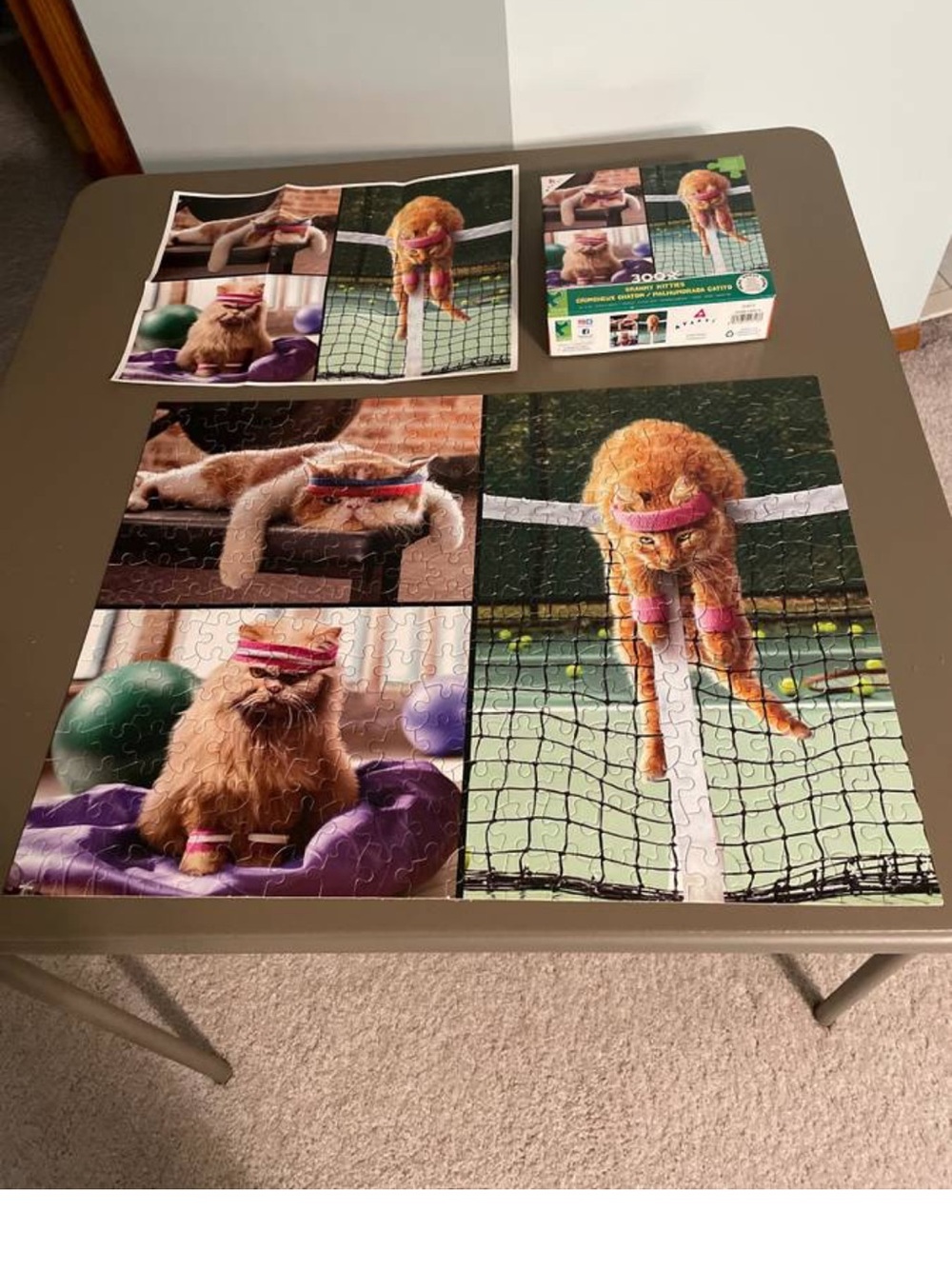 Ceaco (300 Large Piece) Puzzle - Cranky Kitties